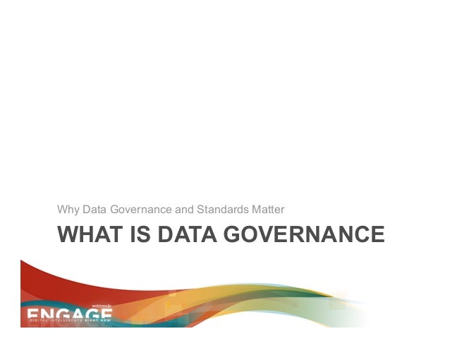 Engage 2013 - Data Governance + Standards
