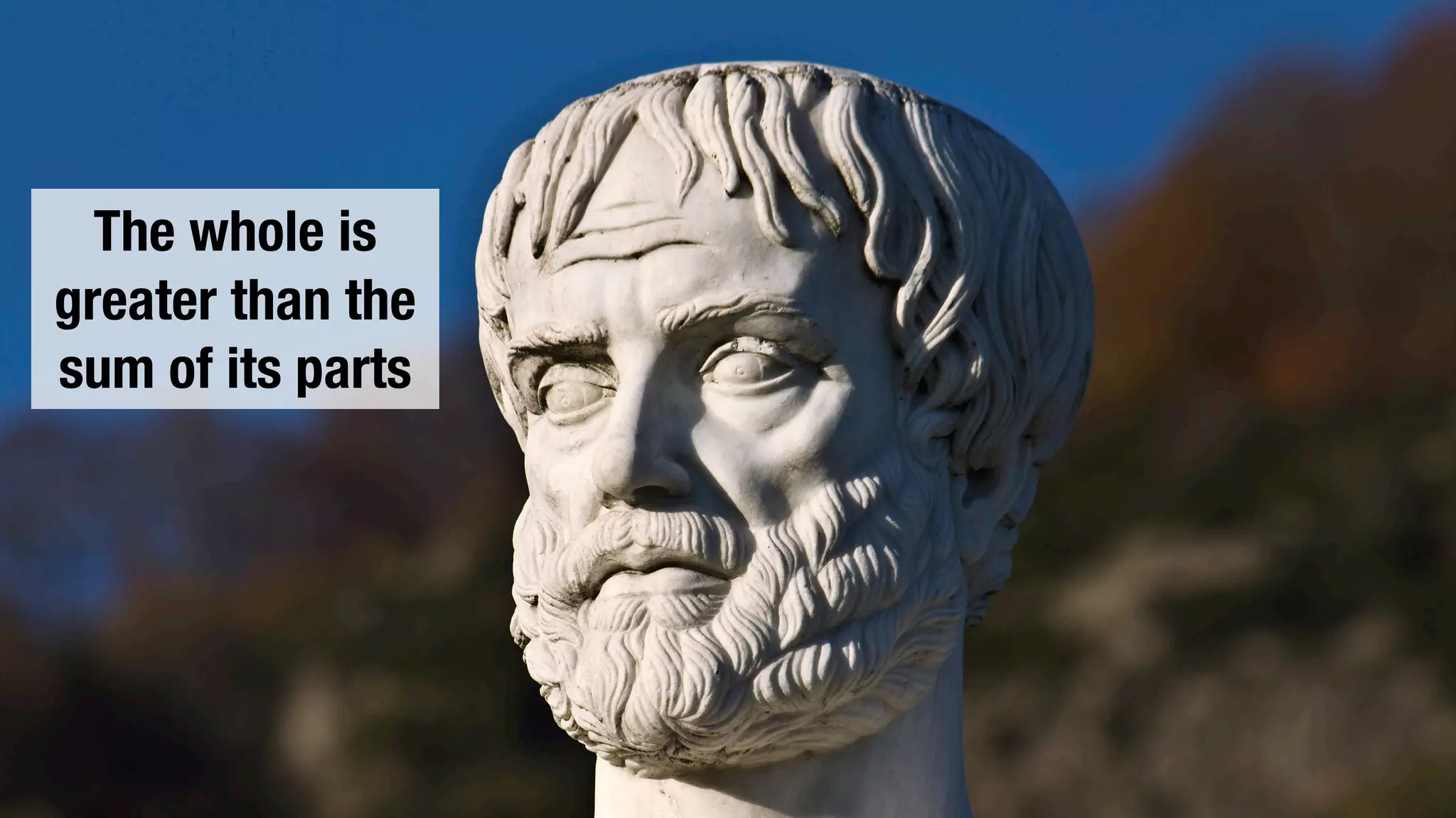 The whole is
greater than the
sum of its parts
 