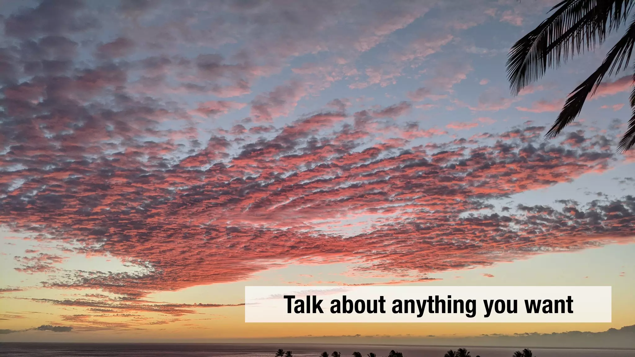 Talk about anything you want
 