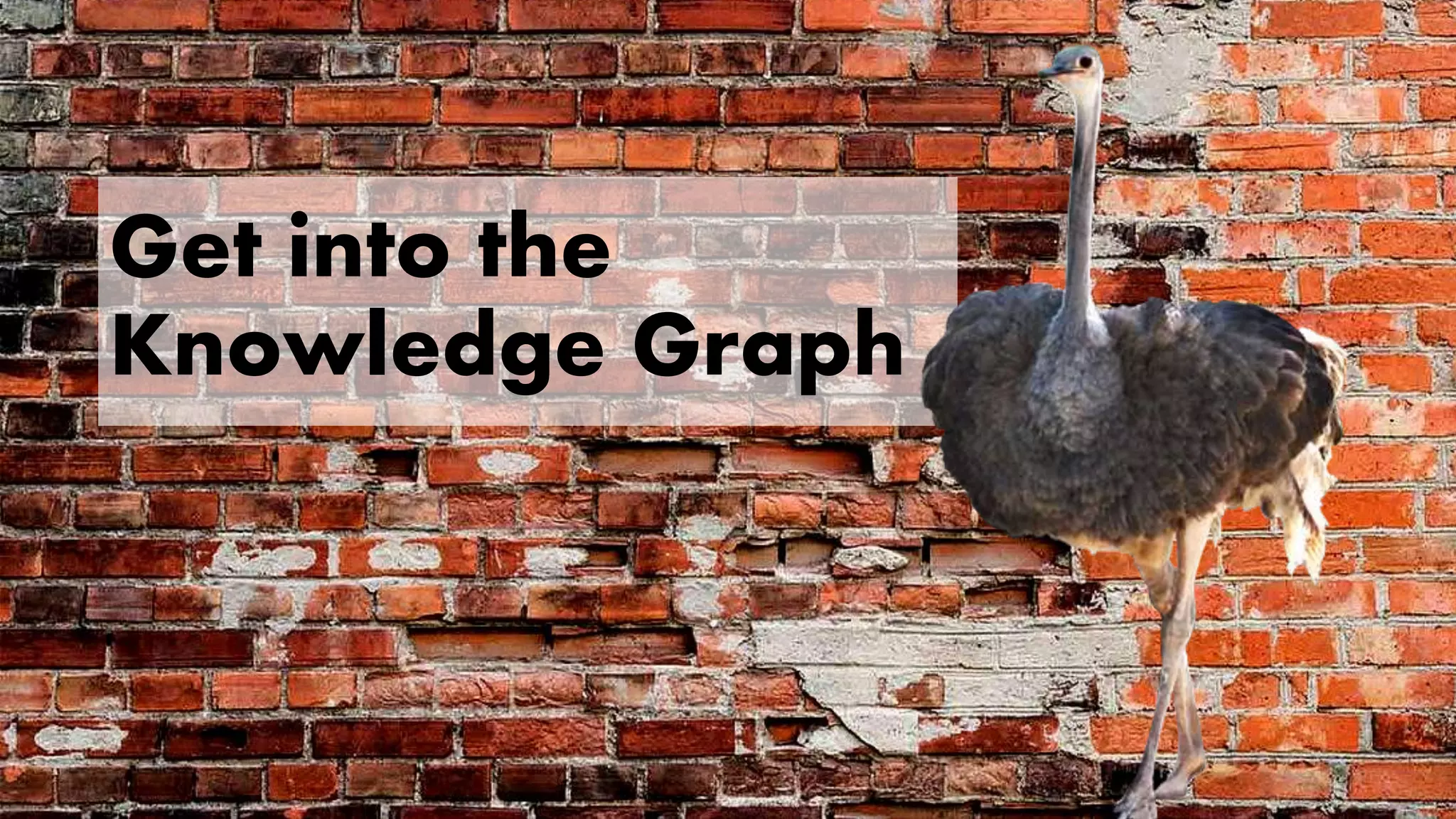 Get into the
Knowledge Graph
 