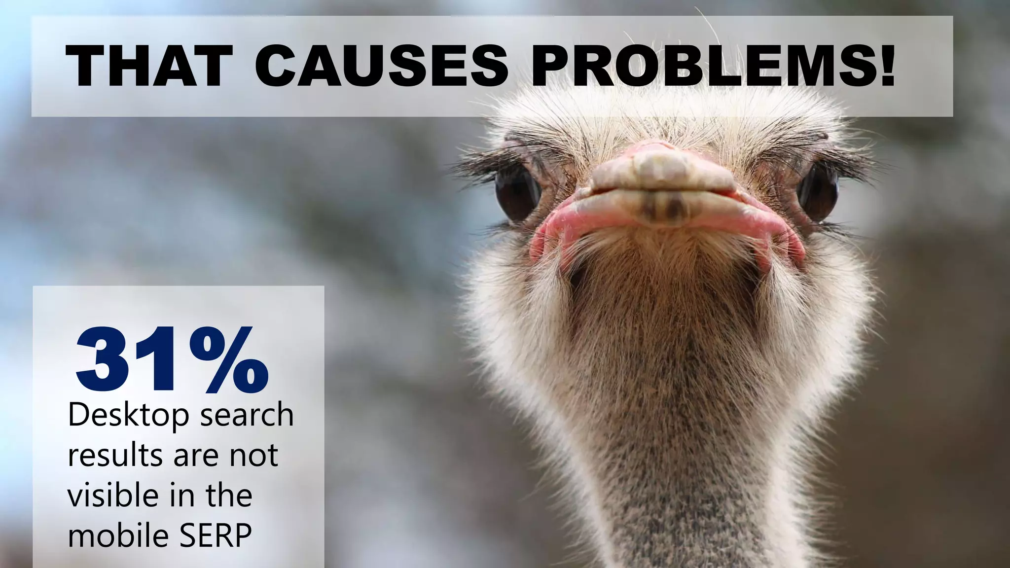 THAT CAUSES PROBLEMS!
Desktop search
results are not
visible in the
mobile SERP
31%
 