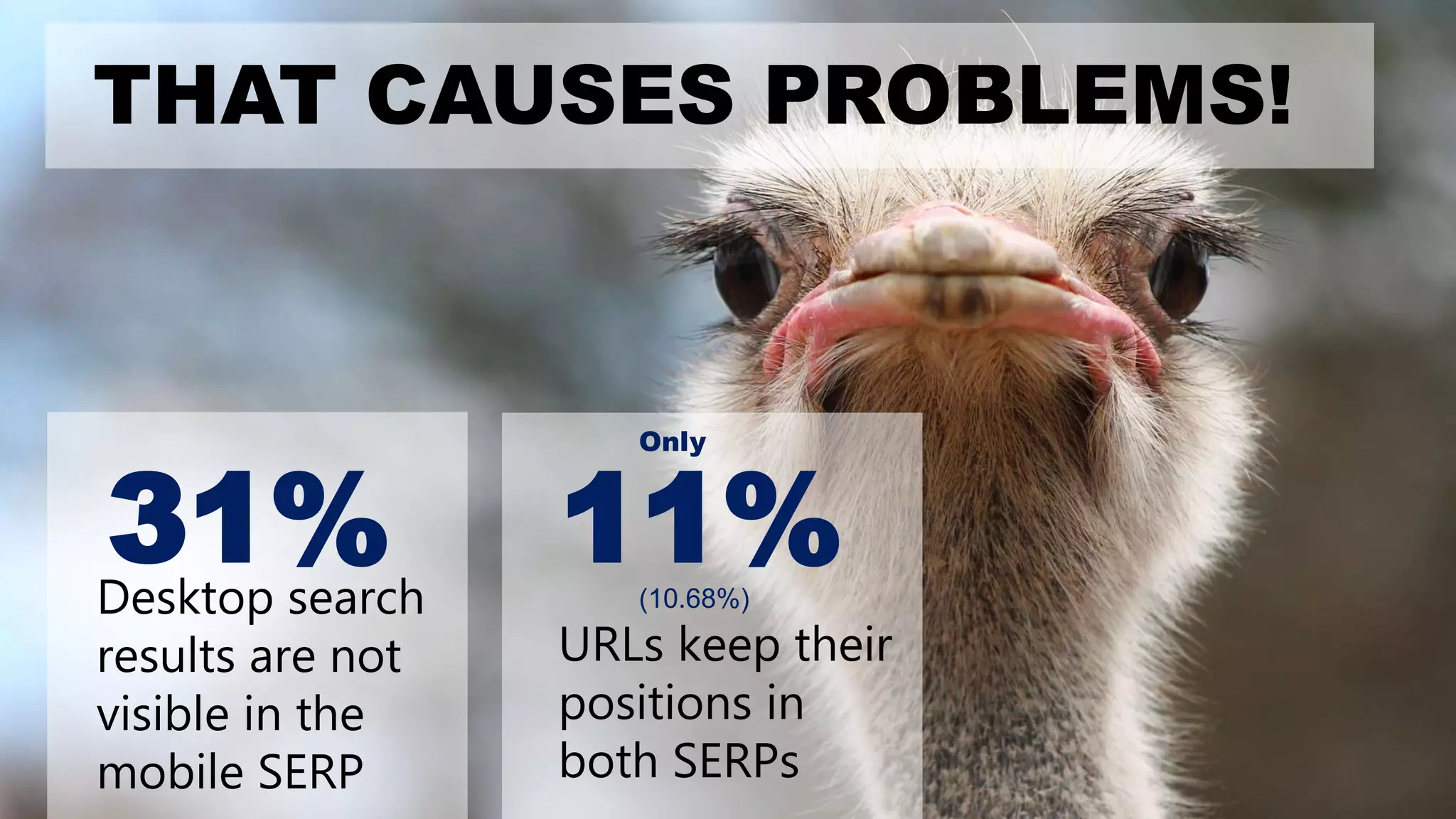 THAT CAUSES PROBLEMS!
Desktop search
results are not
visible in the
mobile SERP
31% 11%
Only
(10.68%)
URLs keep their
positions in
both SERPs
 