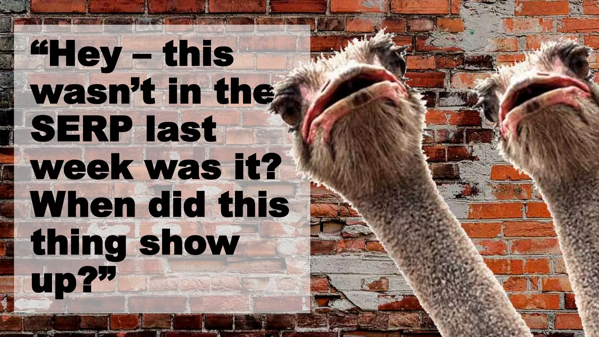 “Hey – this
wasn’t in the
SERP last
week was it?
When did this
thing show
up?”
 