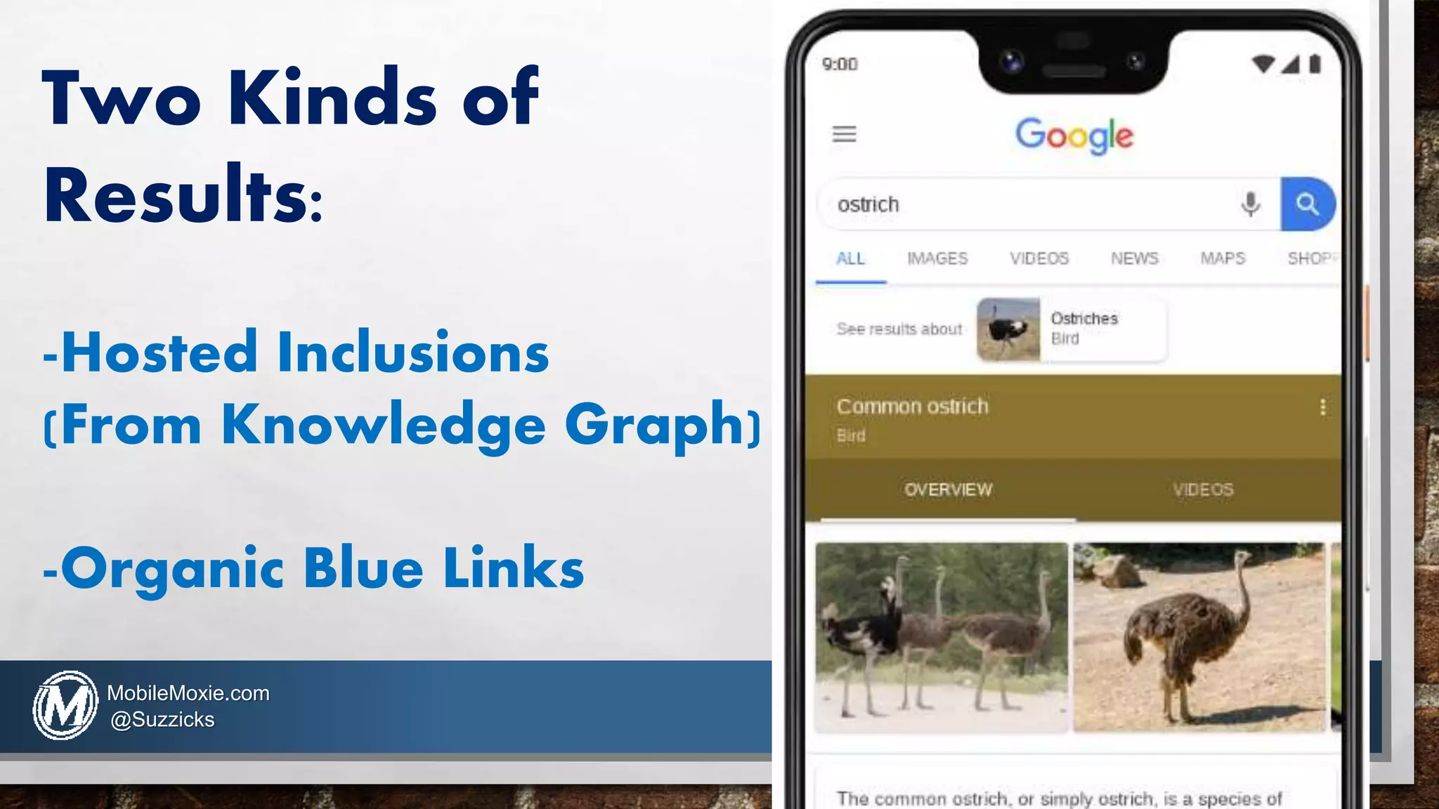 Two Kinds of
Results:
-Hosted Inclusions
(From Knowledge Graph)
-Organic Blue Links
MobileMoxie.com
@Suzzicks
 