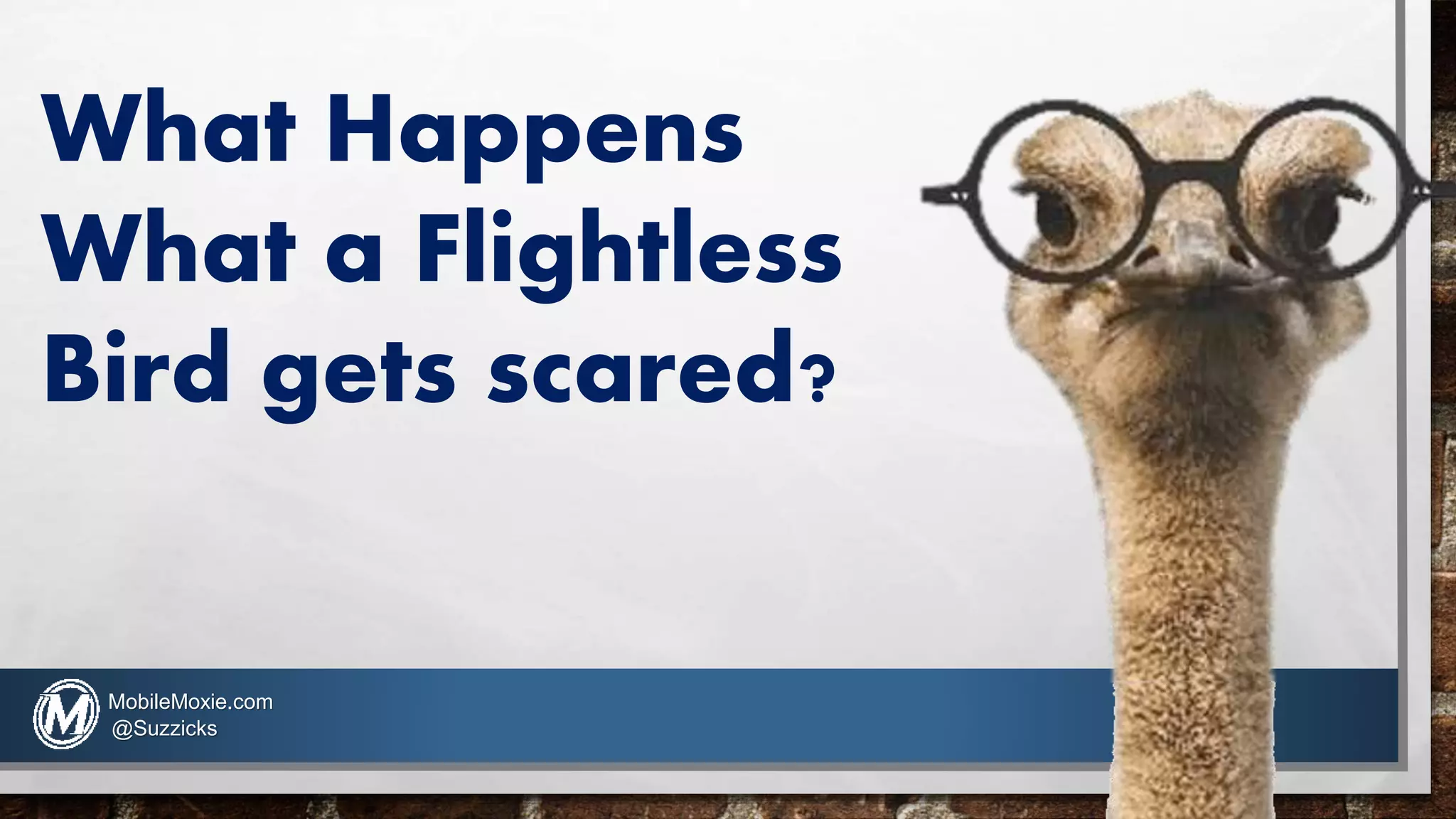 What Happens
What a Flightless
Bird gets scared?
MobileMoxie.com
@Suzzicks
 