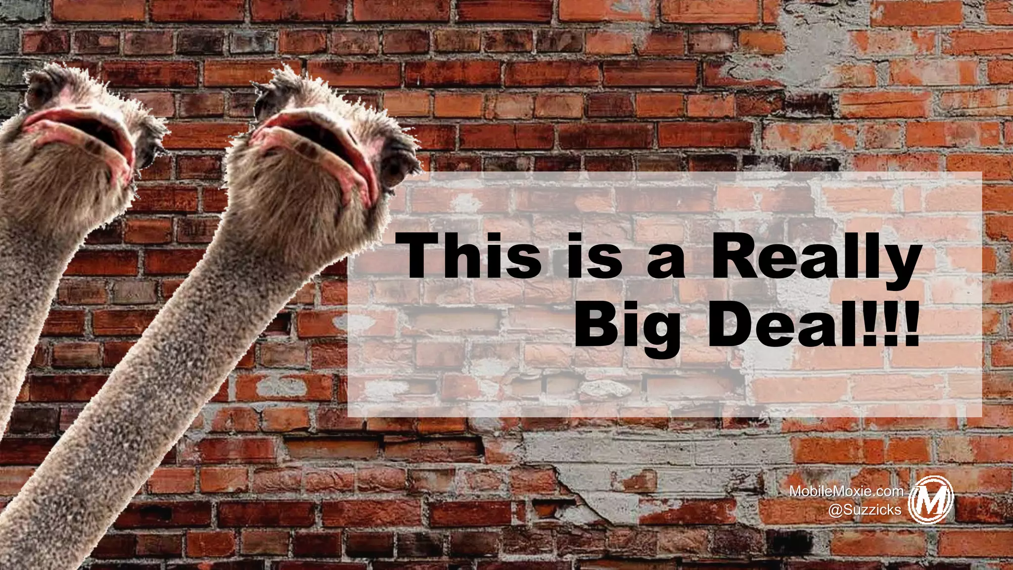 This is a Really
Big Deal!!!
MobileMoxie.com
@Suzzicks
 