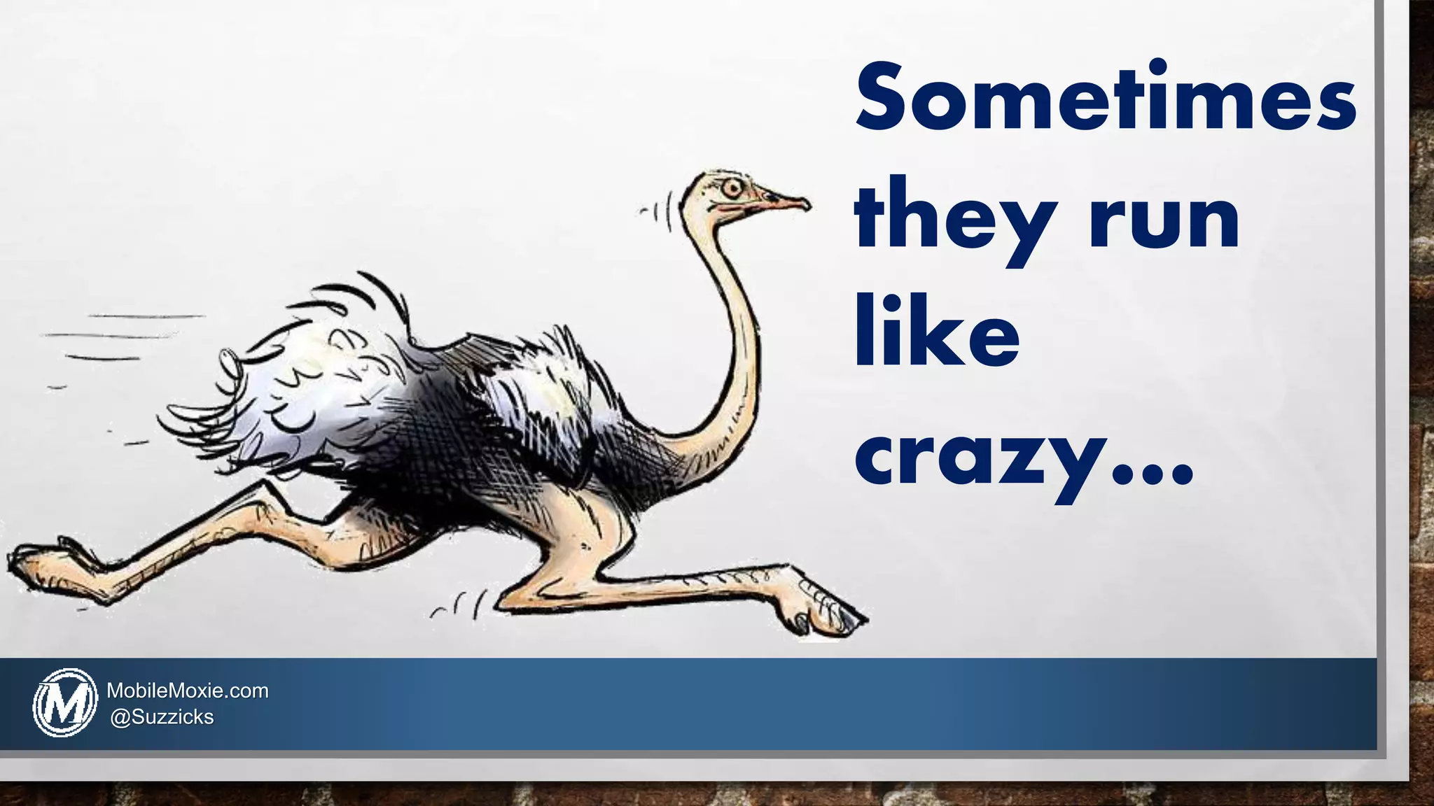 Sometimes
they run
like
crazy…
MobileMoxie.com
@Suzzicks
 