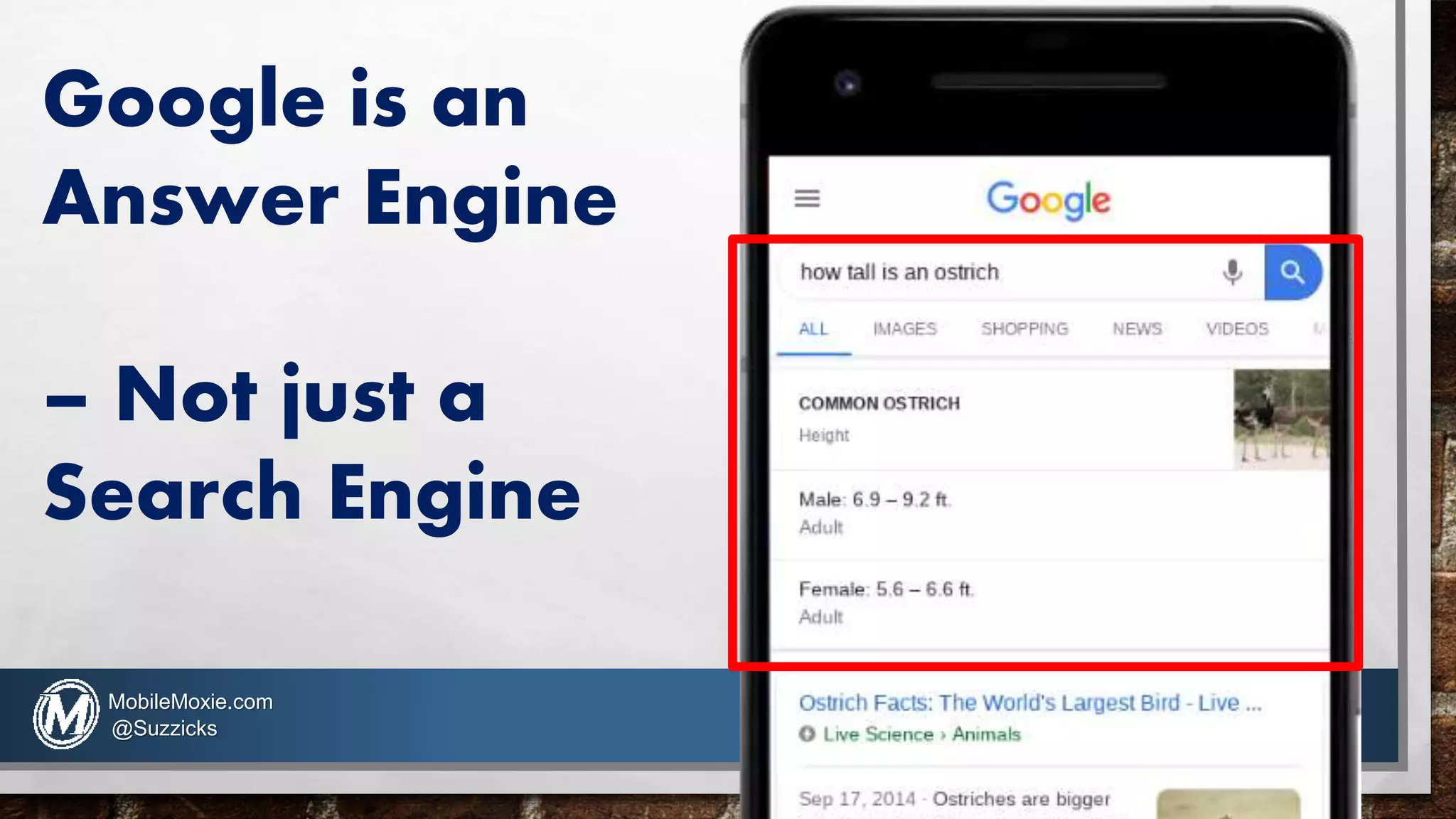Google is an
Answer Engine
– Not just a
Search Engine
MobileMoxie.com
@Suzzicks
 