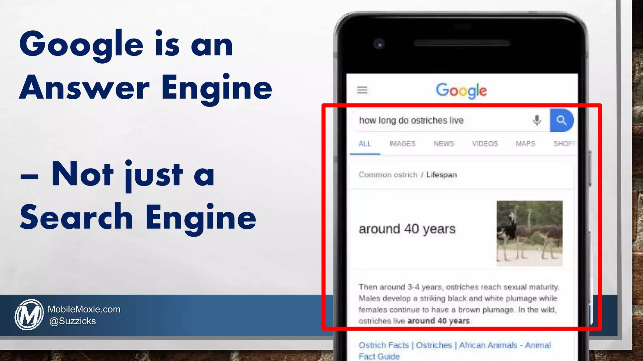 Google is an
Answer Engine
– Not just a
Search Engine
MobileMoxie.com
@Suzzicks
 