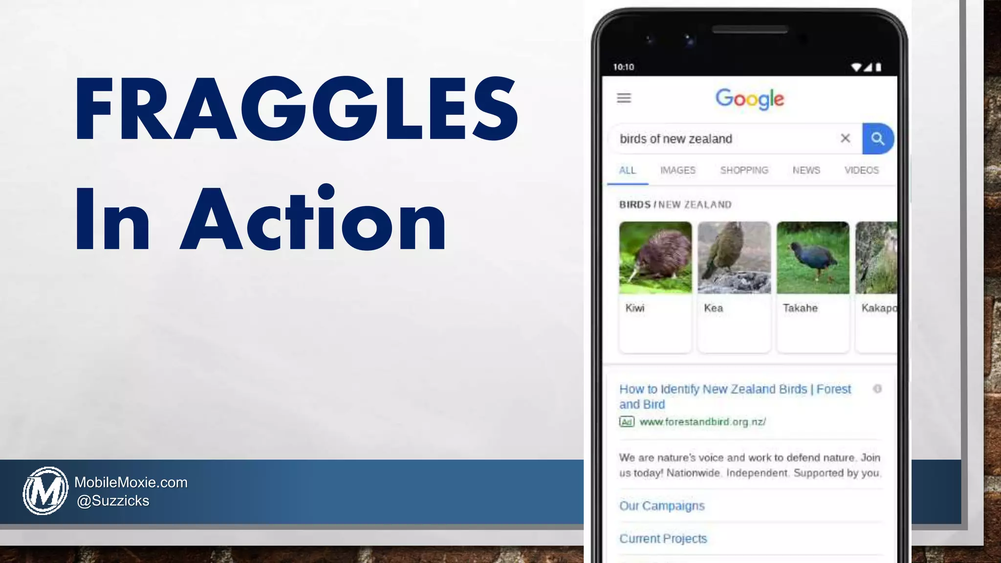 FRAGGLES
In Action
MobileMoxie.com
@Suzzicks
 