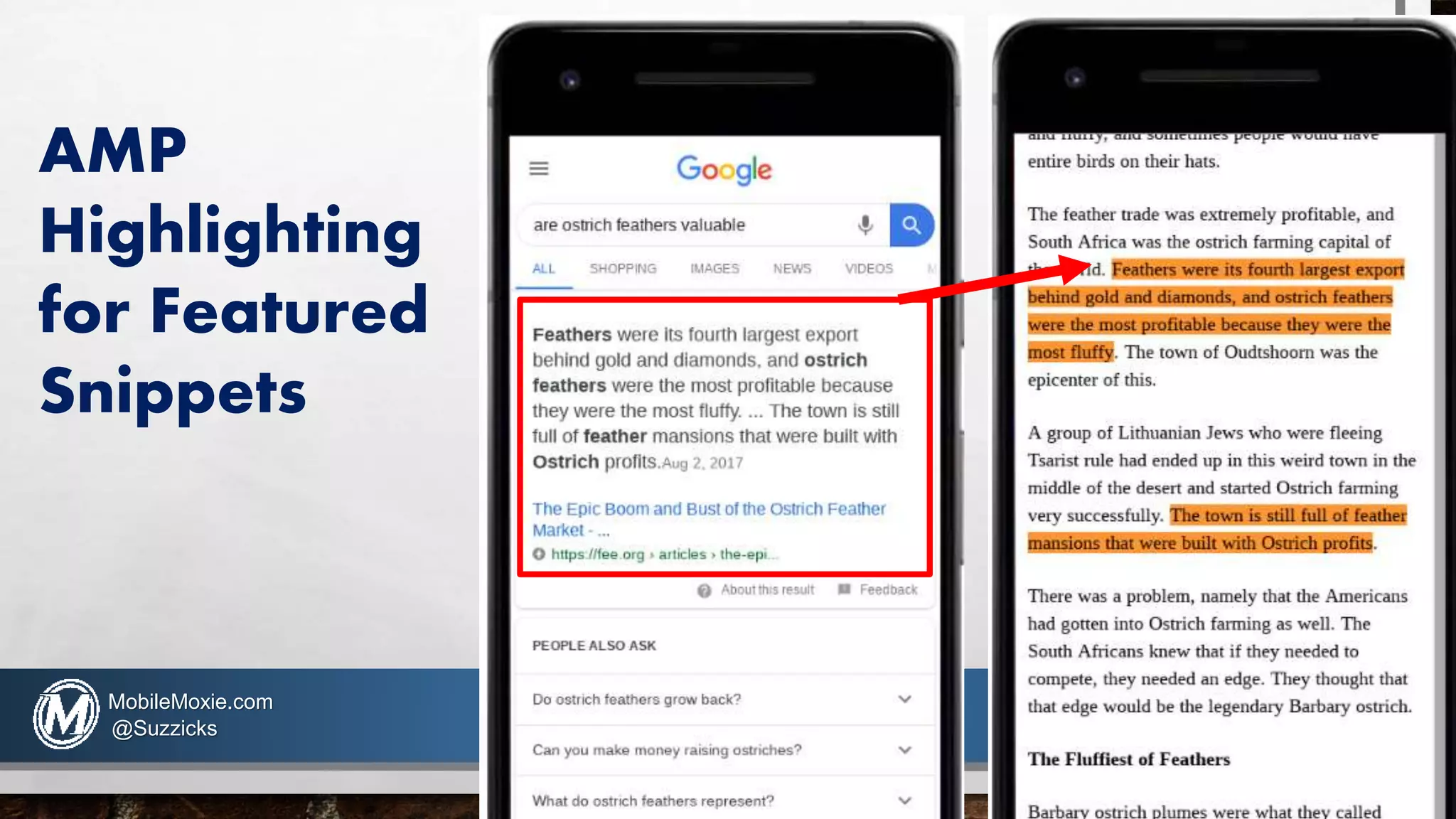AMP
Highlighting
for Featured
Snippets
MobileMoxie.com
@Suzzicks
 