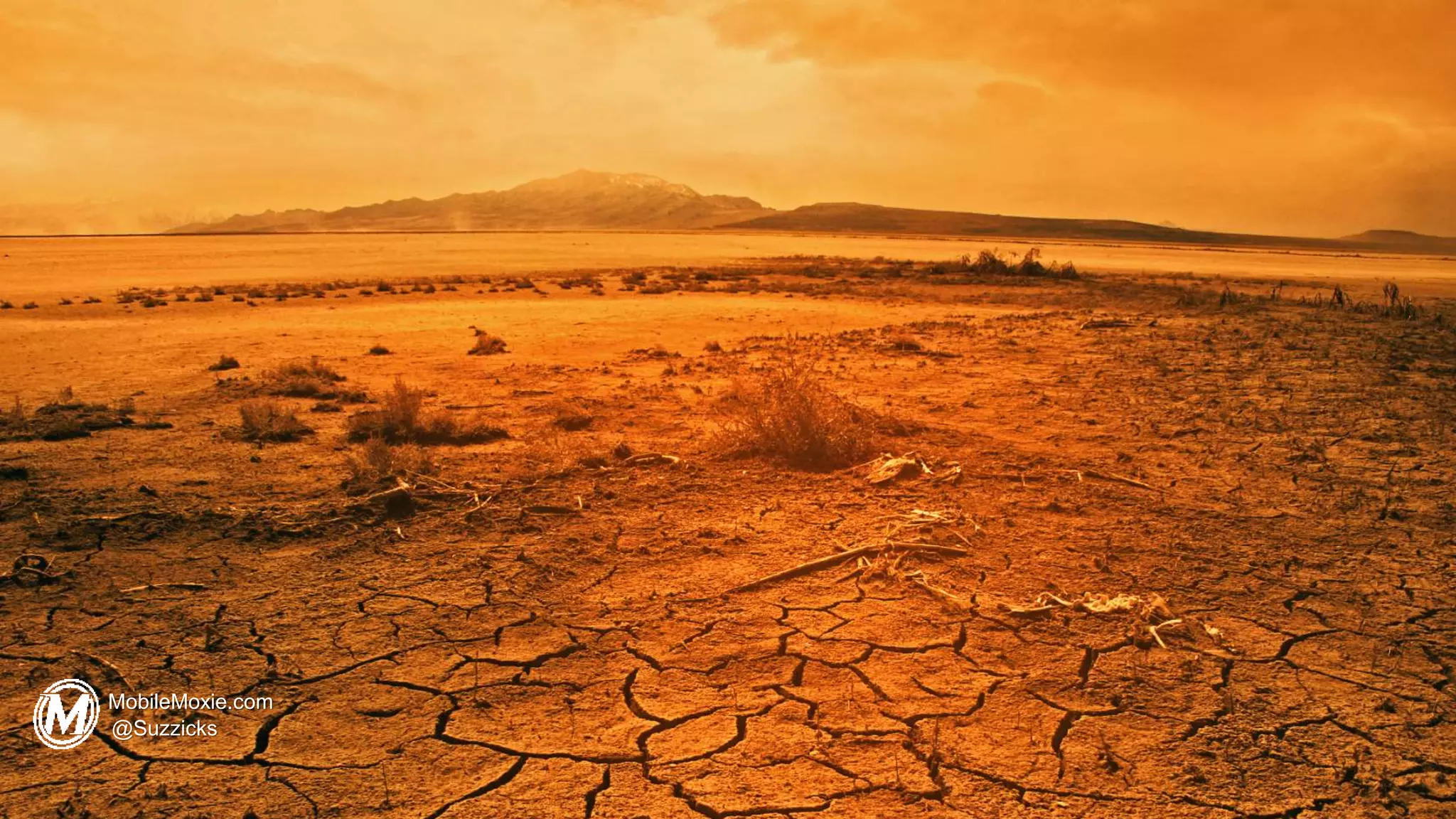 MobileMoxie.com
@Suzzicks
 