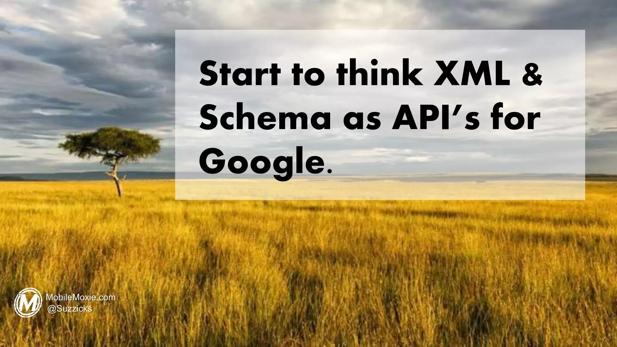 Start to think XML &
Schema as API’s for
Google.
MobileMoxie.com
@Suzzicks
 