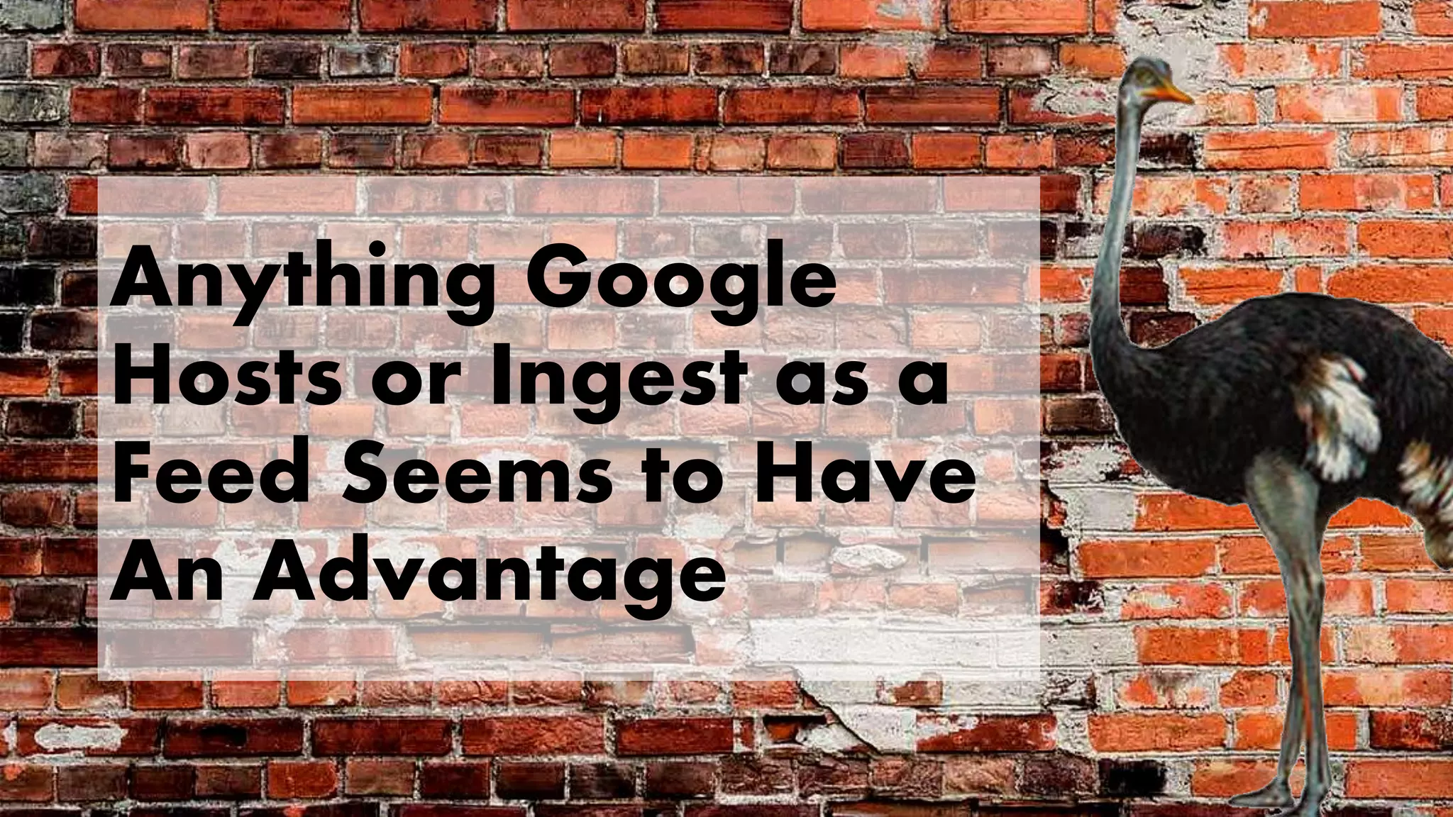 Anything Google
Hosts or Ingest as a
Feed Seems to Have
An Advantage
 