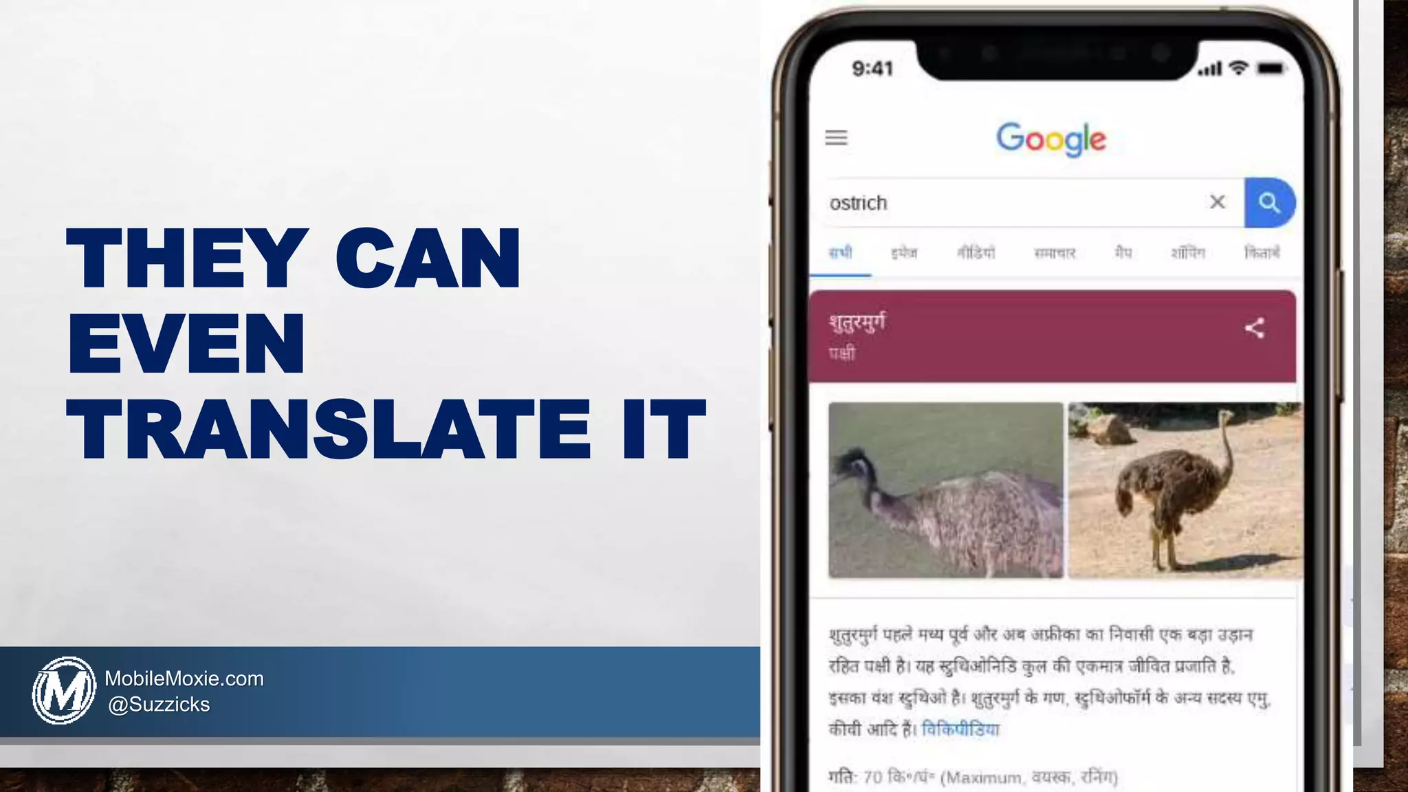 THEY CAN
EVEN
TRANSLATE IT
MobileMoxie.com
@Suzzicks
 