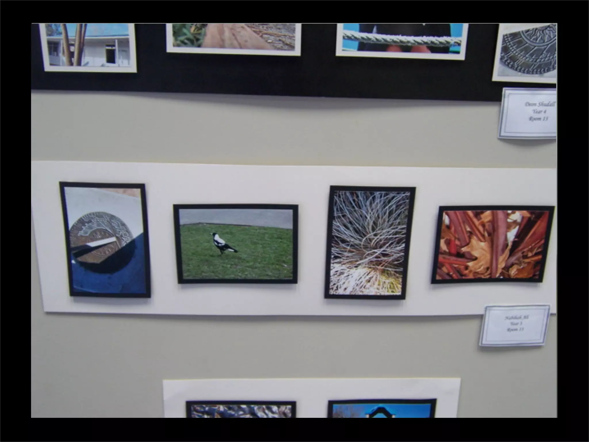 Digital Photography
  Visual Art, Language...
 