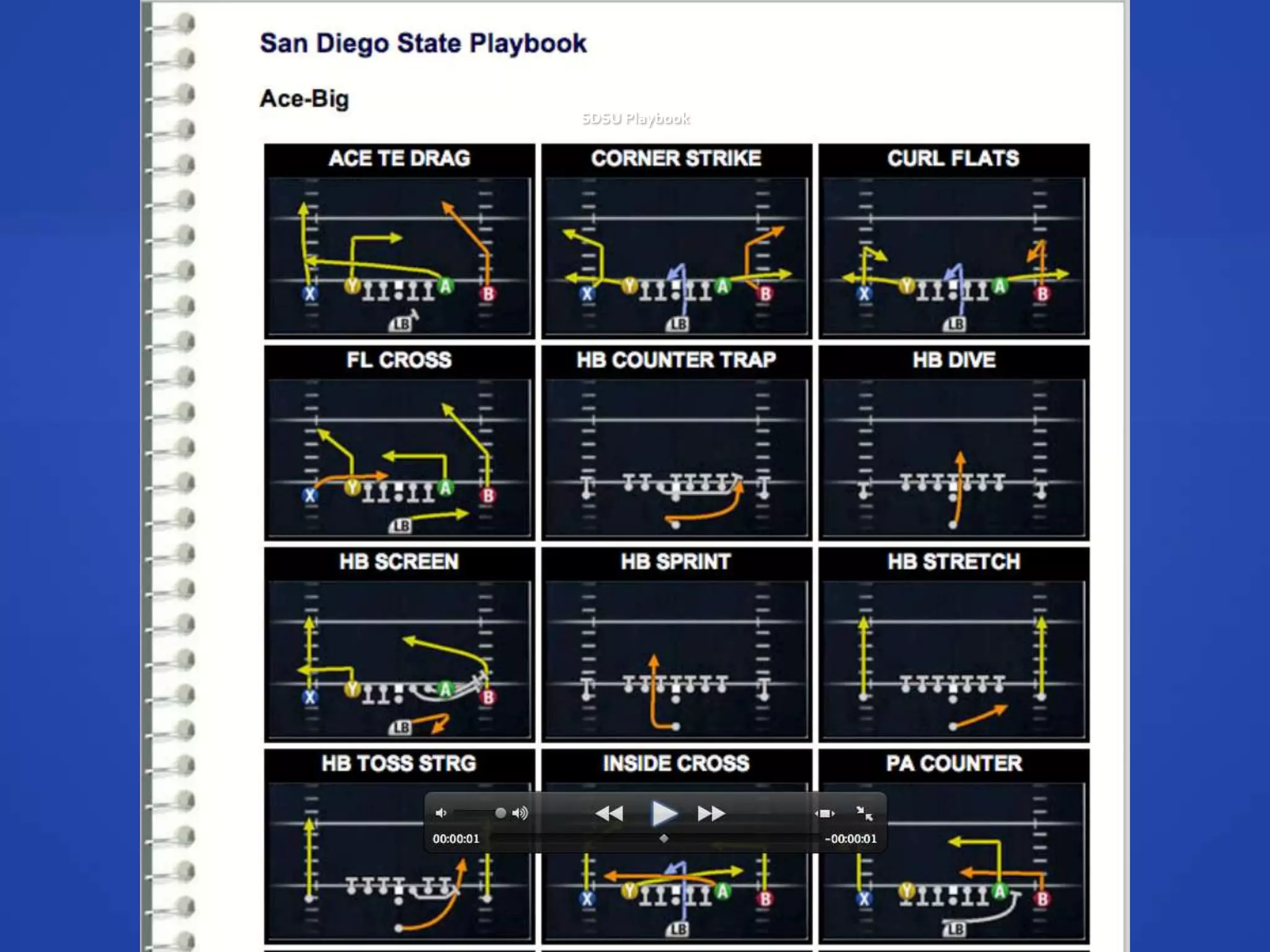 SDSU Playbook
 