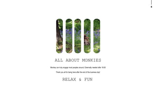 4
ALL ABOUT MONKIES
Monkey can truly engage most peoples around. Externally needed after 18:00
Thank you all for being here after the end of the business day!
RELAX & FUN
 