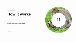 5
How it works
W h o d o e s w h a t
Let’s review presale process on the very high level
#1
 