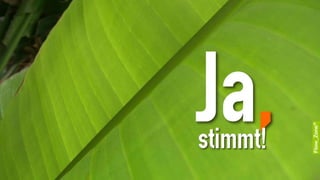 EngagementCheck: Impuls und Reflexion 13_03