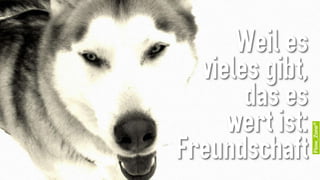 EngagementCheck: Impuls und Reflexion 13_03