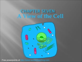 A View of the Cell Free powerpoints at  http://www.worldofteaching.com 