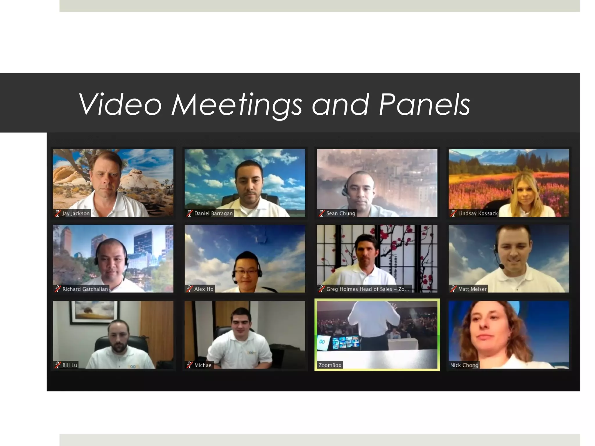 Video Meetings and Panels
 