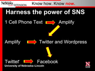 Harness the power of SNS 1 Cell Phone Text            Amplify Amplify           Twitter and Wordpress Twitte r         Facebook 