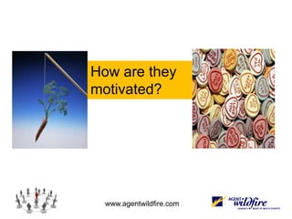 How are they motivated?