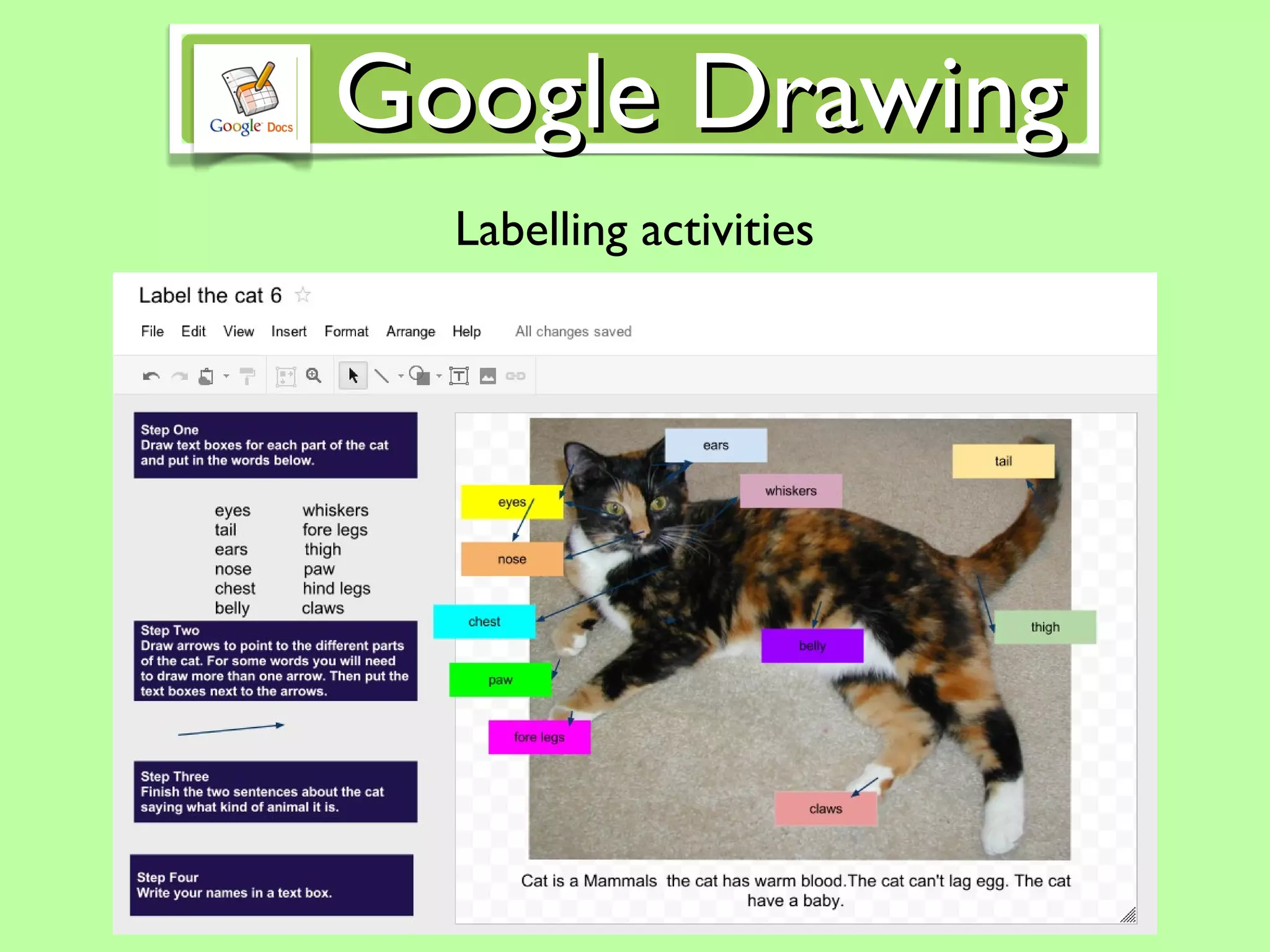 Labelling activities Google Drawing