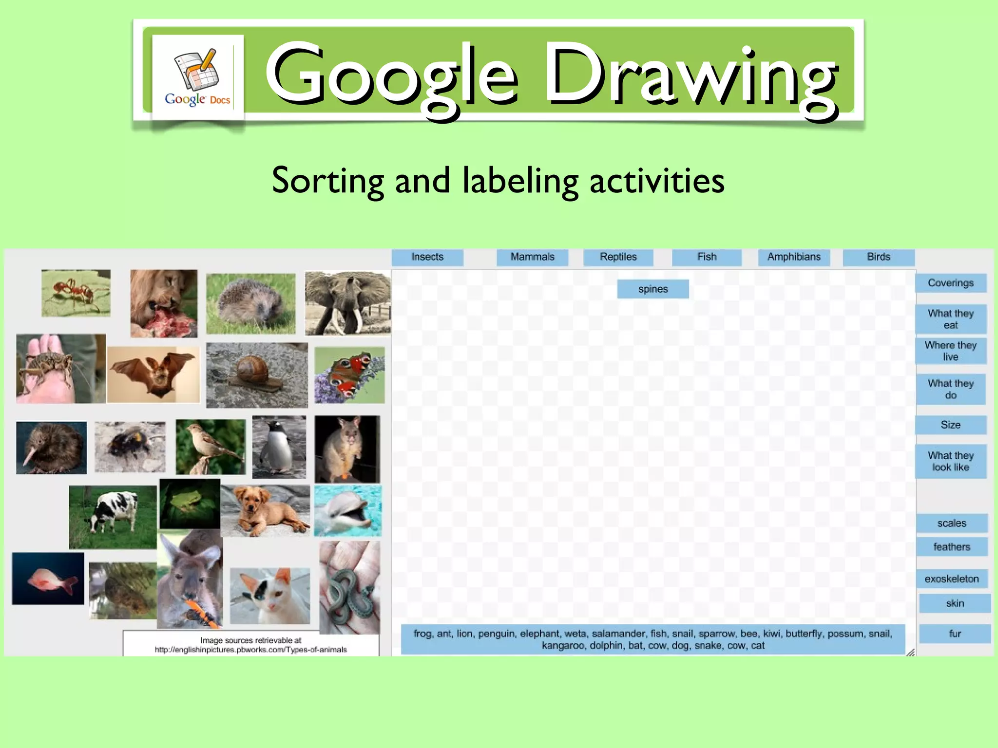 Sorting and labeling activities Google Drawing