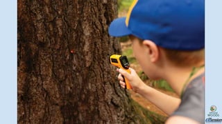 Enhancing Outdoor Observation with Technology
“EARPOD used an integrated technology
program, Digital Observation Technolog...