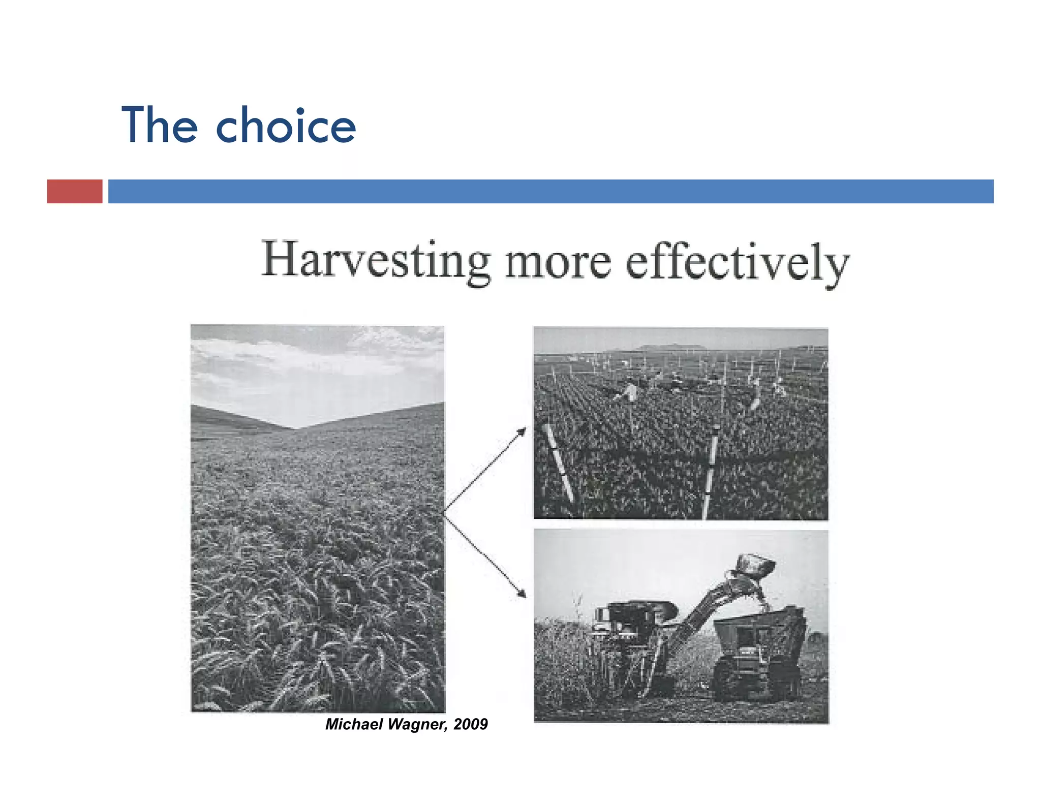The choice




        Michael Wagner, 2009
 