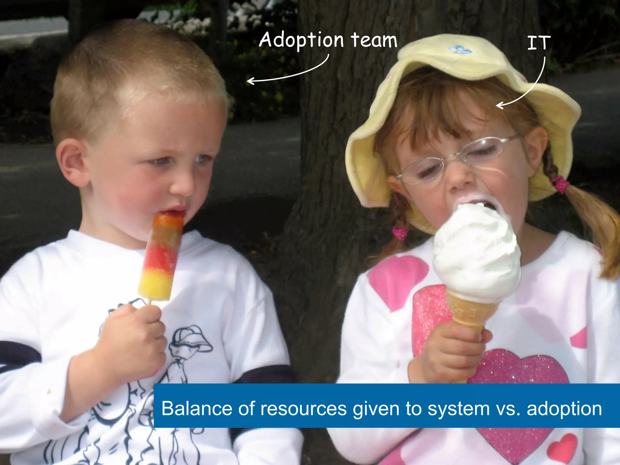 Adoption team IT 
Balance of resources given to system vs. adoption 
 
