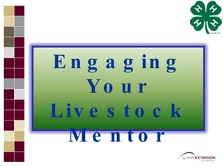 Engaging Your Livestock Mentor 