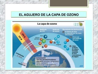 EL AGUJERO DE LA CAPA DE OZONO
 