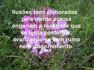 I lusões bem elaboradas pela mente ociosa enganam a realidade que se tenta postergar, avançando-se sem rumo nem discernimento. 