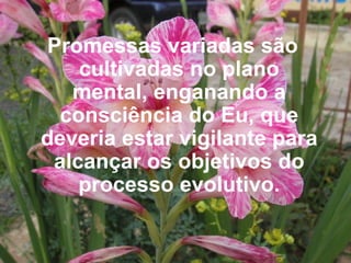 Promessas variadas são cultivadas no plano mental, enganando a consciência do Eu, que deveria estar vigilante para alcançar os objetivos do processo evolutivo. 