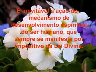É inevitável a ação do mecanismo de desenvolvimento espiritual do ser humano, que sempre se manifesta por impositivo da Lei Divina. 
