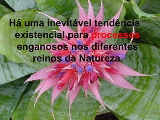 Há uma inevitável tendência existencial para  processos  enganosos nos diferentes reinos da Natureza . 