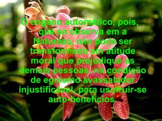 O engano automático, pois, que se observa em a Natureza, não pode ser transformado em atitude moral que prejudique as demais pessoas, na condição de egoísmo avassalador injustificável, para usufruir-se auto-benefícios. 