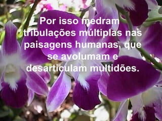 Por isso medram tribulações múltiplas nas paisagens humanas, que se avolumam e desarticulam multidões. 