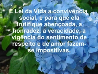 É Lei da Vida a convivência social, e para que ela frutifique abençoada, a honradez, a veracidade, a vigência do sentimento de respeito e de amor fazem-se impositivas. 