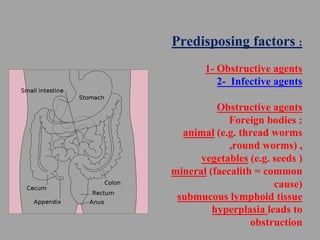 Predisposing factors :
1- Obstructive agents
2- Infective agents
Obstructive agents
Foreign bodies :
animal (e.g. thread w...