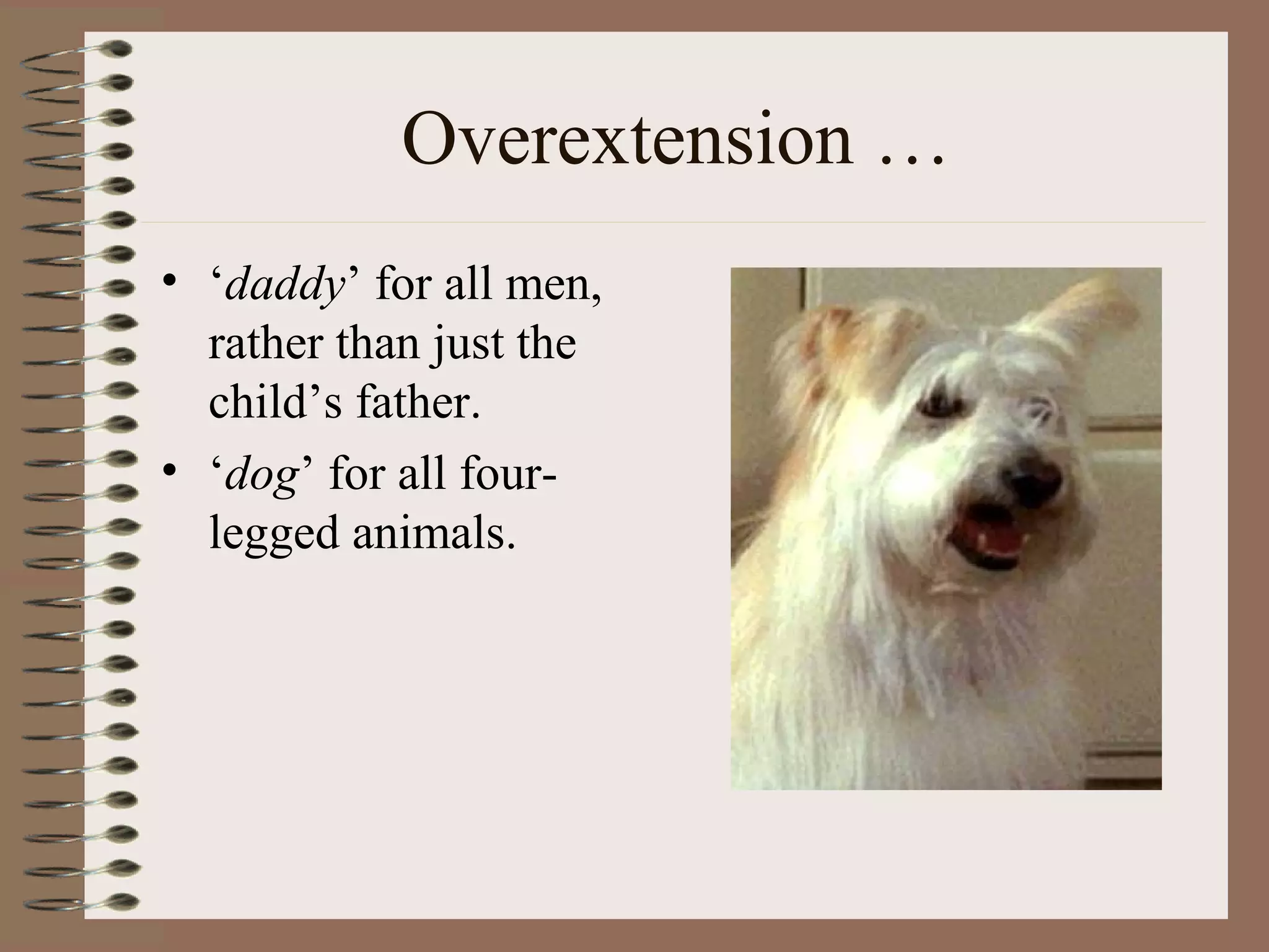 Overextension …
• ‘daddy’ for all men,
rather than just the
child’s father.
• ‘dog’ for all four-
legged animals.
 
