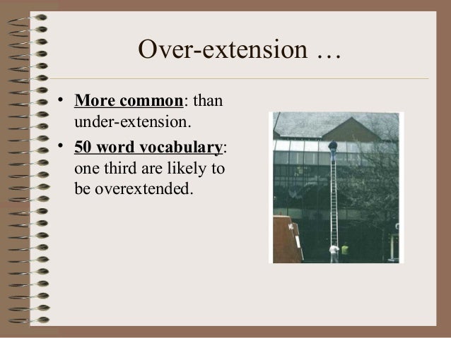 Language Acquisition Lecture 3 Lexical and Semantic