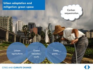 CITIES AND CLIMATE CHANGE
Urban adaptation and
mitigation: green space
Urban
agriculture
Green
facades/
roofs
Trees,
parks…
Carbon
sequestration
 