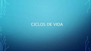 CICLOS DE VIDA​
 