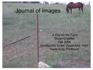 Journal of Images A Day on the Farm Stuart Engelke Fall 2008 Introduction to the Visual Arts, 1301 Paula King, Professor 