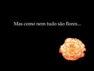 Mas como nem tudo são flores... 